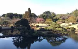新宿で素敵な余暇のひと時を♪おすすめレジャースポットをご紹介！