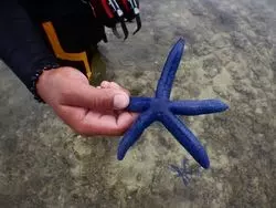 【セブ】￥40で行ける離島？オランゴ島の魅力をご紹介！