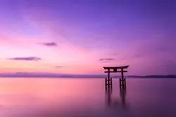 「水の国・滋賀」でインスタ映えする絶景を堪能♡筆者オススメ厳選！