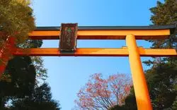 【女子旅】情緒ある町“川越”を巡ろう♪
