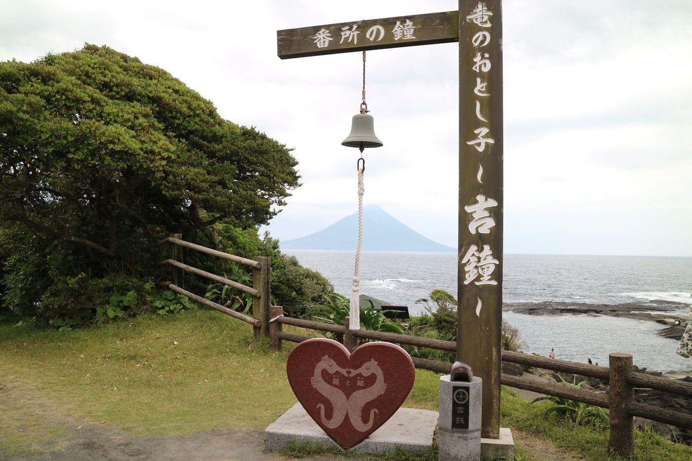 の画像