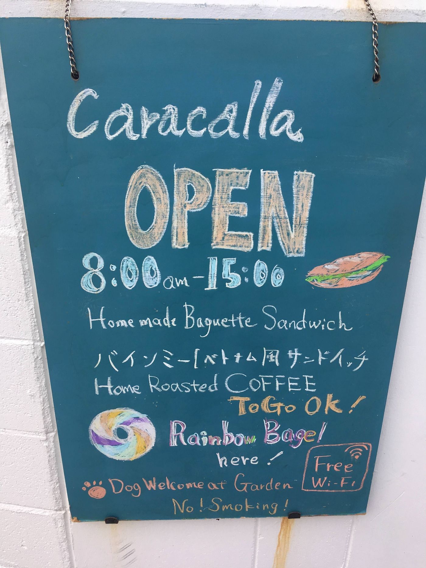 の画像