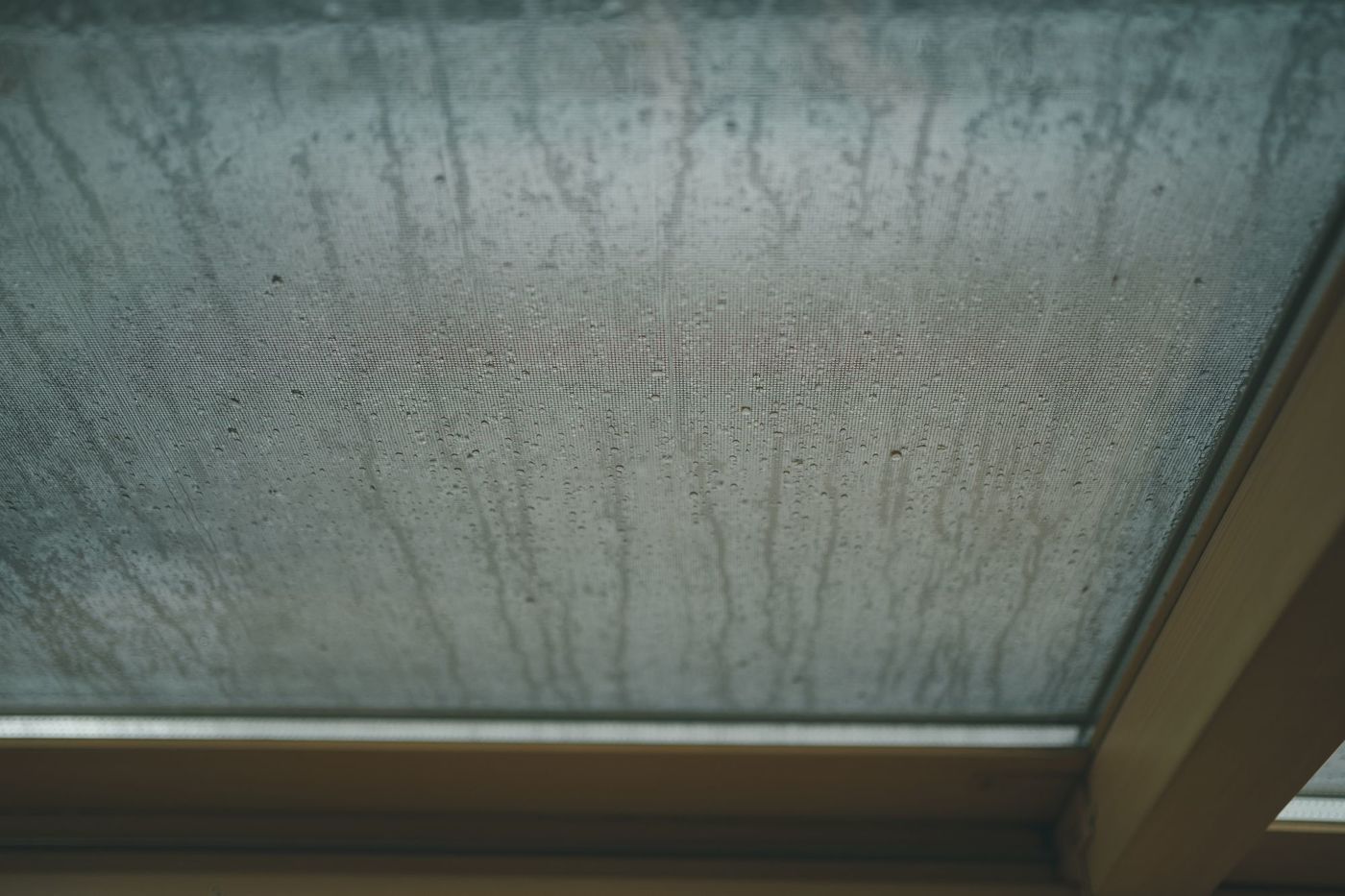 雨漏り修理費用の相場は？適用される保険や修理業者の選び方もご紹介の画像