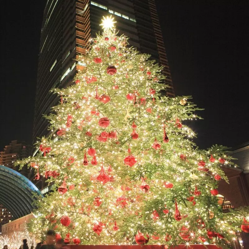 恵比寿のきらびやかな「クリスマスツリー」のイルミネーション 1枚目