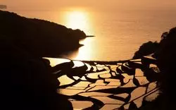 【絶景！】癒し！開運！知られざる佐賀の名所をご紹介