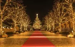 【2026】恵比寿でクリスマスディナーにおすすめのお店4選！おしゃれなレストランを紹介