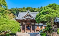 修善寺駅からアクセス抜群◎穴場観光スポットを大解剖！