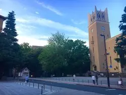 緑溢れるテラス席がオススメ♡誰でも利用できる早稲田大学構内カフェ