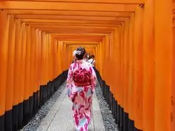 京都日帰り観光！1日で楽しめるおすすめプラン☆