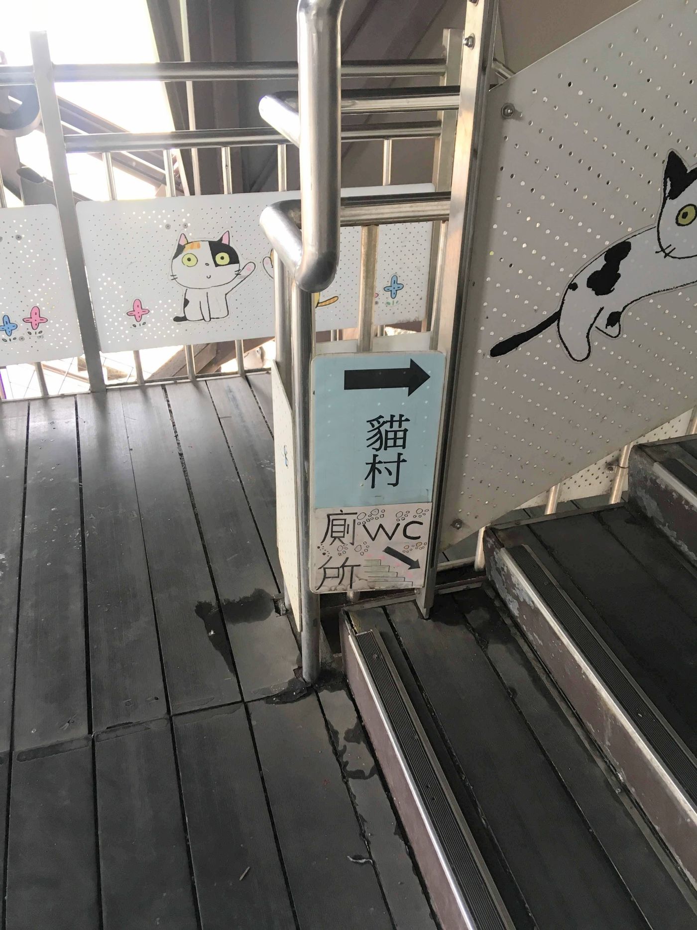 の画像