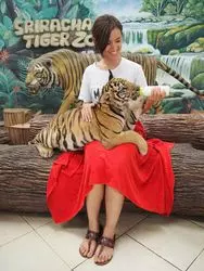 トラと一緒に写真が撮れる！タイのおすすめ観光スポットをご紹介！