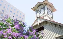 【北海道】人気のお取り寄せグルメ12選！スイーツや海鮮もご紹介