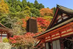 奈良といえばお寺・神社！絶対に行っておきたい名所10選