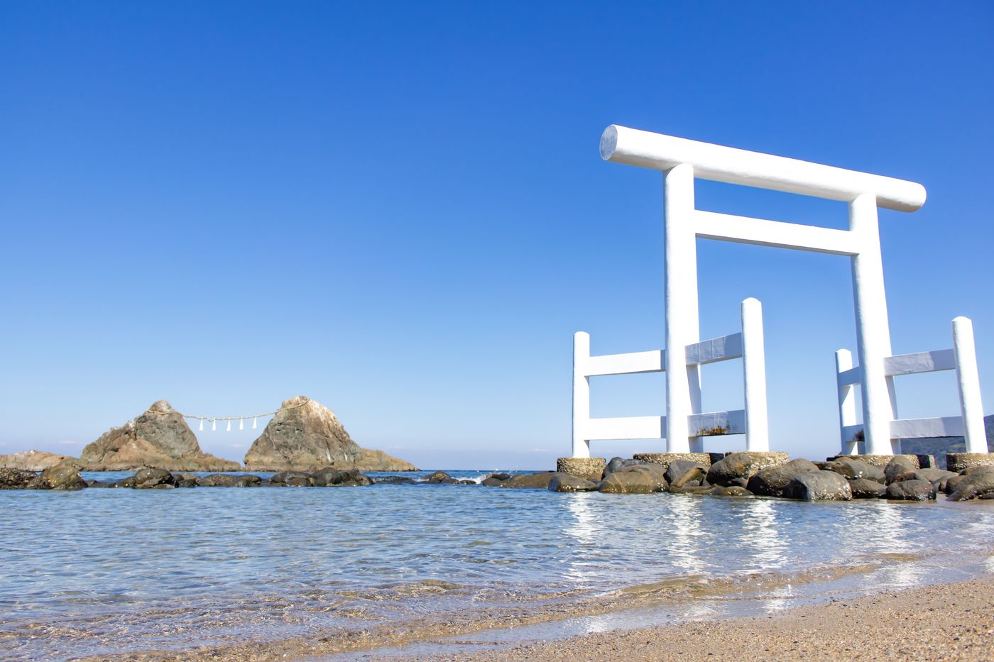 の画像