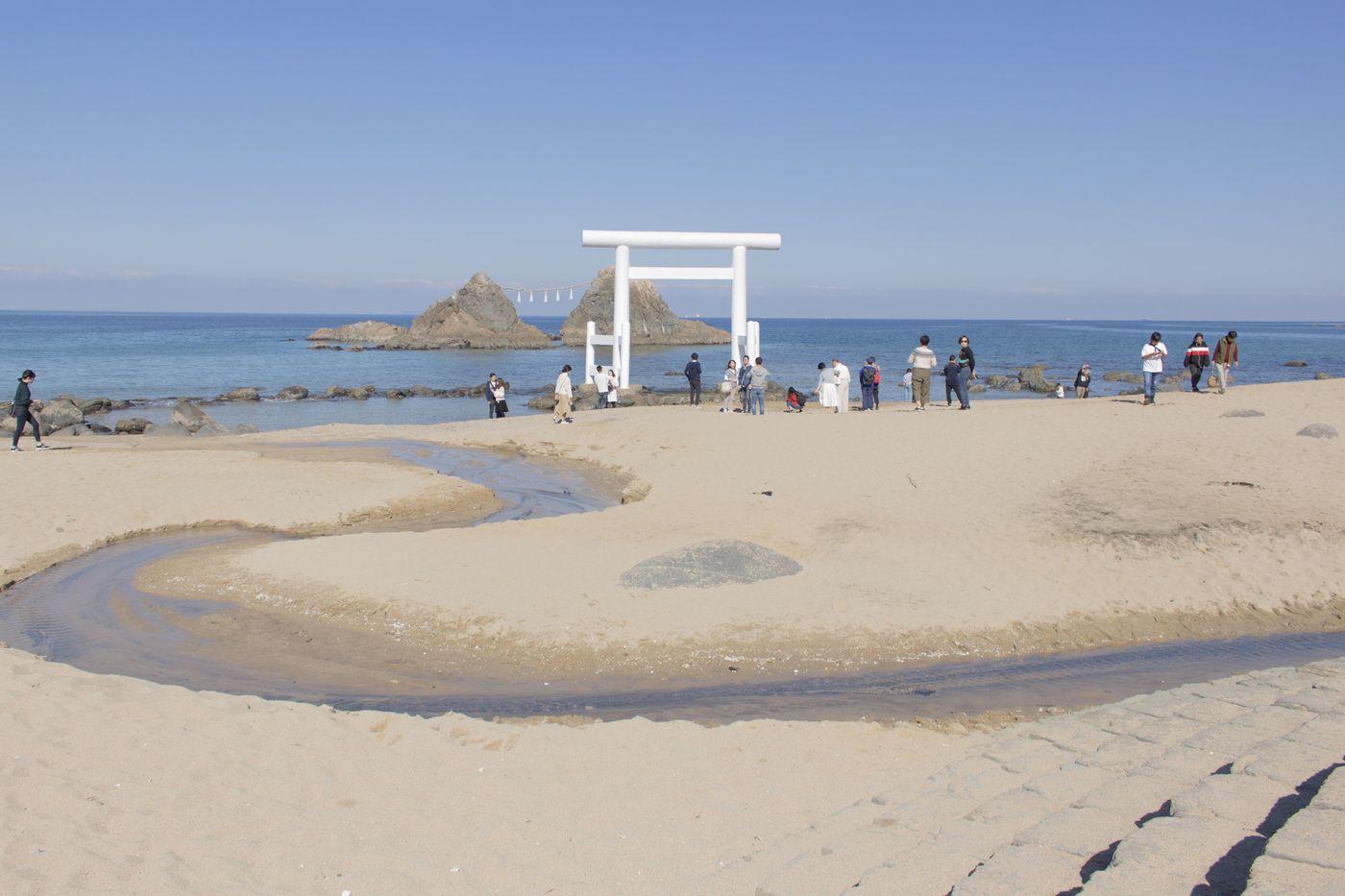 の画像