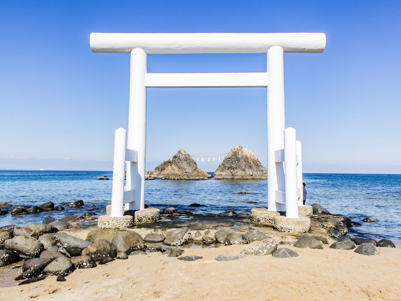 の画像