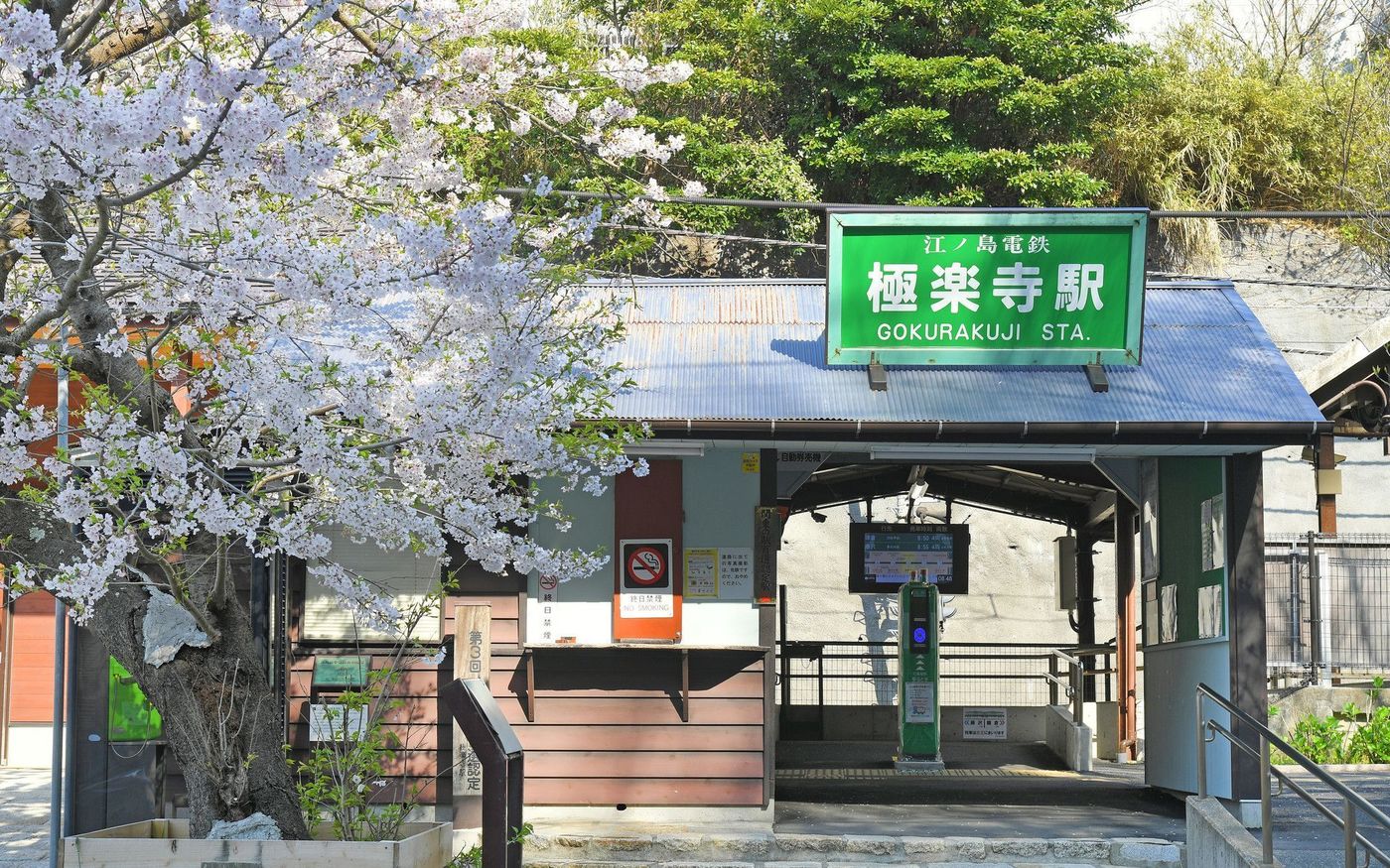 の画像