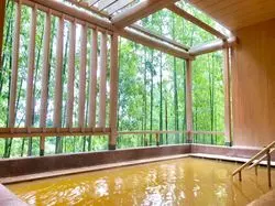 【関西在住の方必見！！】日帰りでいける「有馬温泉」の魅力♡