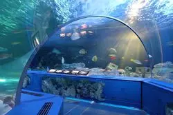 品川にある「マクセル アクアパーク品川」と「しながわ水族館」を徹底比較！