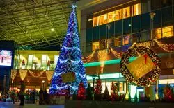 鹿児島の人気クリスマス観光地6選♡素敵な時間をお届けします！