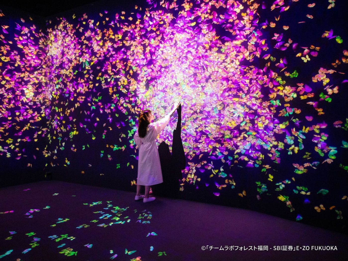 【2026】国内のGWお出かけスポット30選！関東も関西も「行ってみたい！」を総まとめの画像
