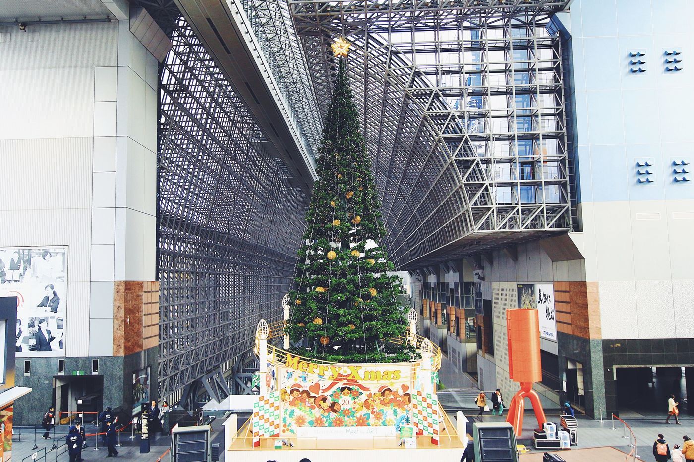 の画像