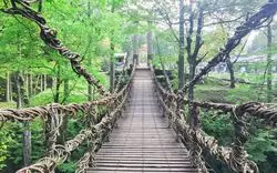 【絶景×吊り橋】森の中にあるパワースポット♪福井県「かずら橋」