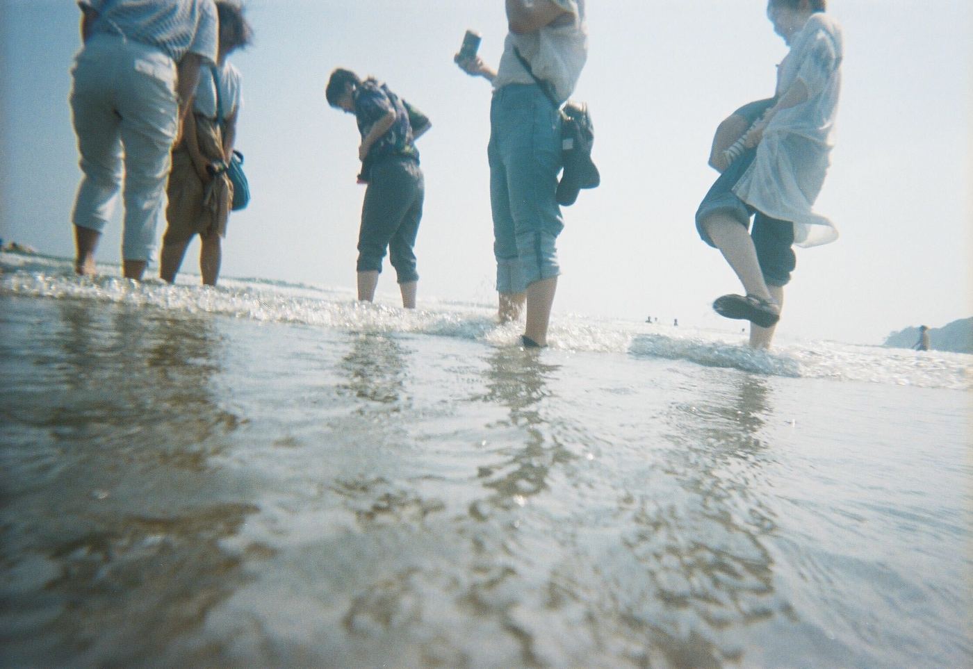 の画像