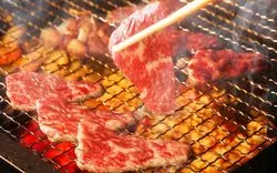 原宿エリアで焼肉ランチを食べたいあなたへ！おすすめのお店ご紹介◎