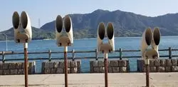 【広島・大久野島】海外でも話題！“地図から消された”ウサギ島とは？
