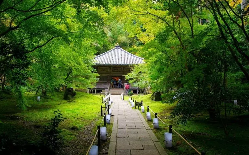3. 宮城・松島のおすすめ観光地。美しい庭園は夏にも秋にもおすすめ「円通院」 1枚目