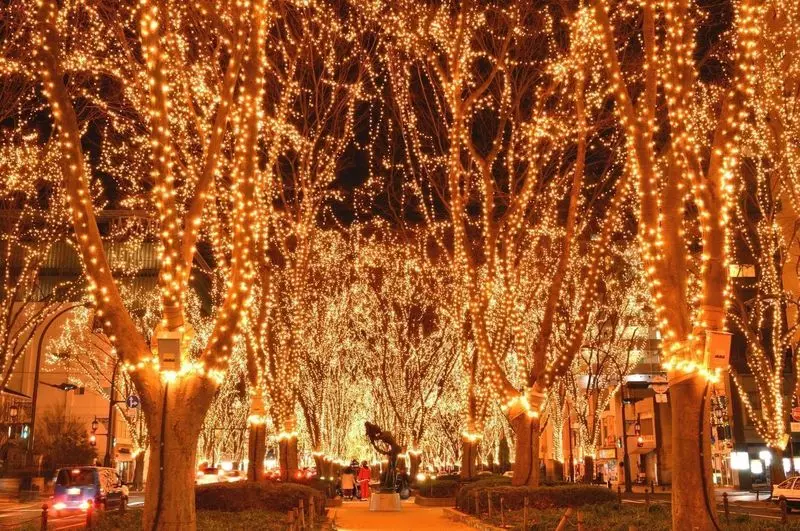 冬の宮城観光におすすめ！迫力満点のイルミネーション 1枚目