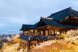 【京都】四季折々の魅力あり♡清水寺を春夏秋冬訪れて比較してみた！