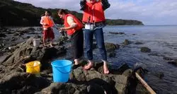 【甲信越】新潟県には知られざる離島があった！「粟島浦村」へ♪