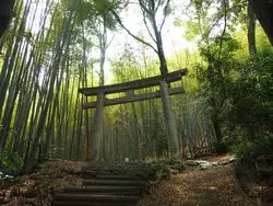 【京都】1日遊べちゃう！魅力たっぷり大山崎のおすすめスポット