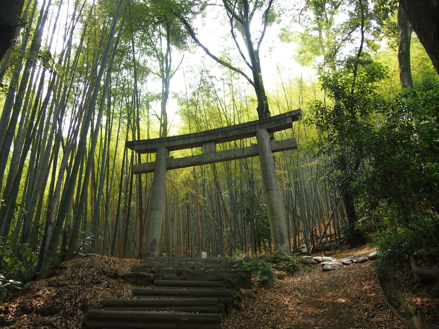 【京都】1日遊べちゃう！魅力たっぷり大山崎のおすすめスポットの画像