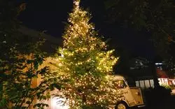 代官山でクリスマスデート！おすすめスポットをご紹介！