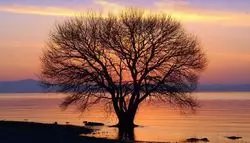 【大人が憧れる旅先】静寂に包まれる奥びわ湖畔「紅鮎」で何もしない贅沢を。