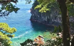 【2023】伊東のおすすめ観光地32選！温泉＆絶品グルメまで！
