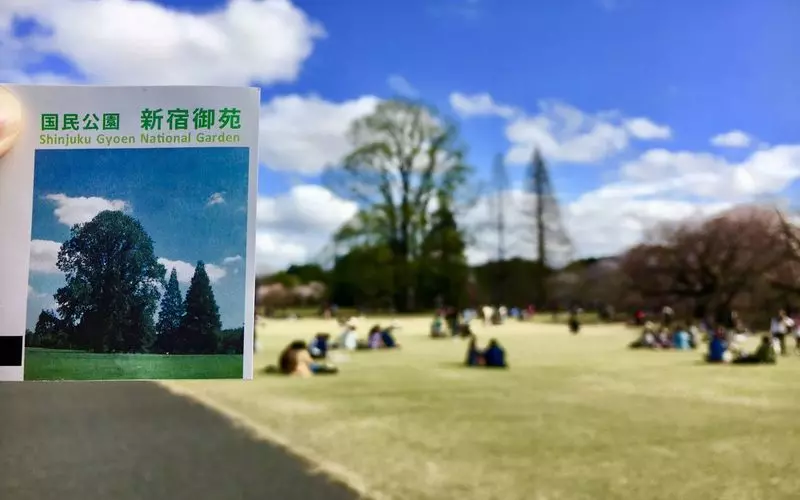 3. 新宿でピクニックデートをするならここ！広い芝生でのんびりできる「新宿御苑」 1枚目