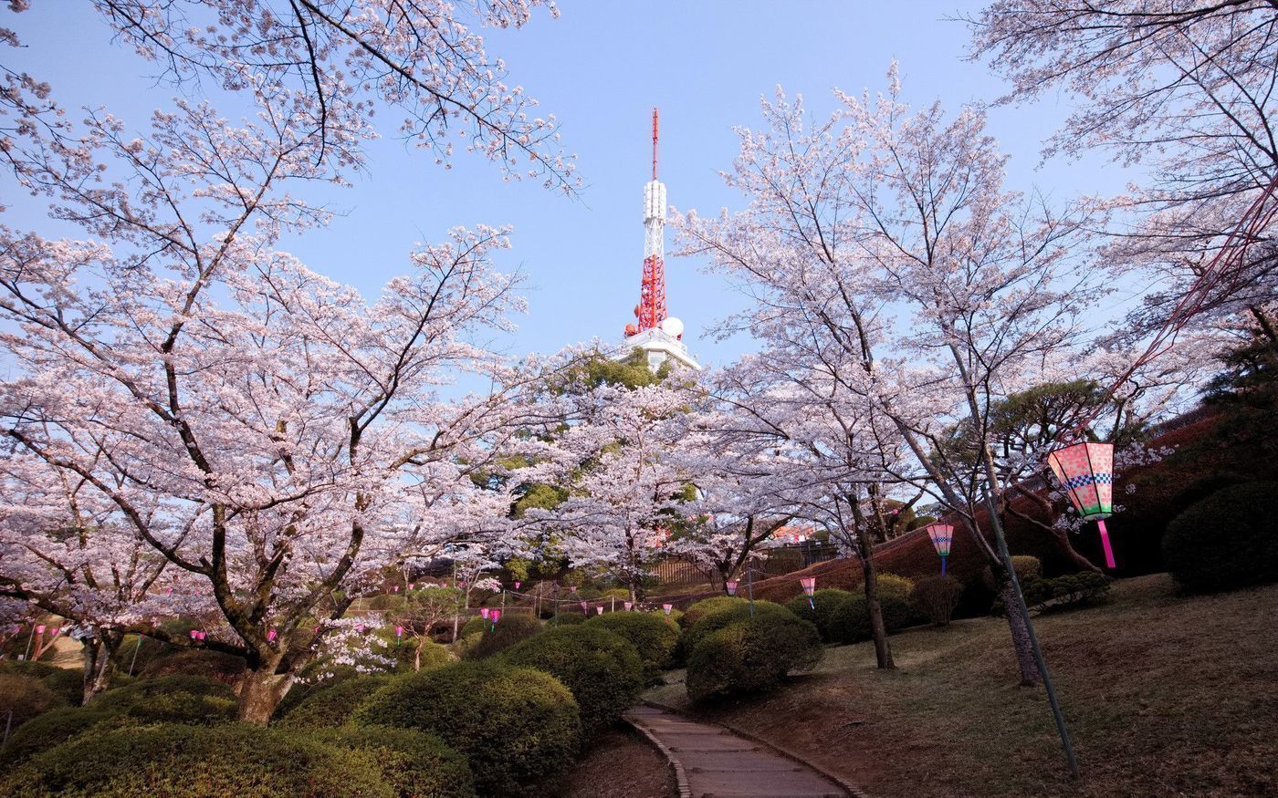 の画像