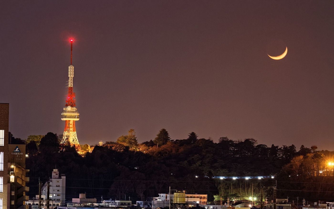 の画像