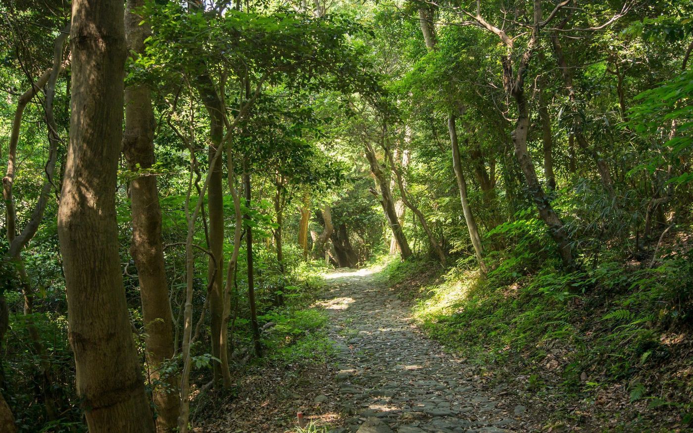 三重旅行におすすめ♪絶対に行きたい三重の観光スポット特集の画像