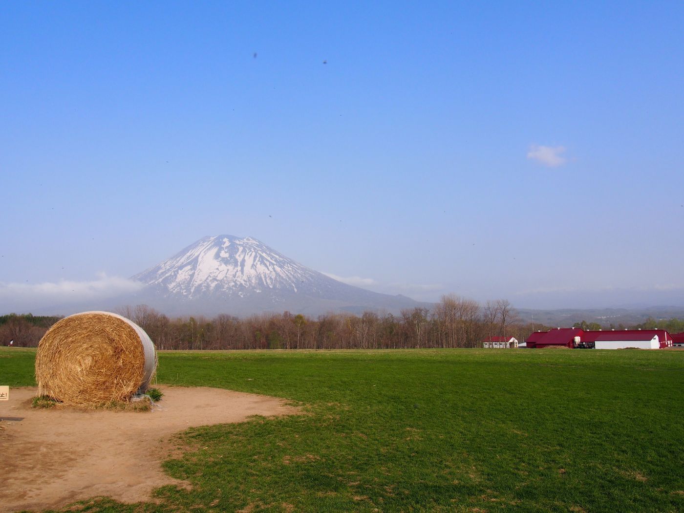 の画像