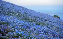 茨城でサイクリングするなら♡鉄板コースをご紹介♪