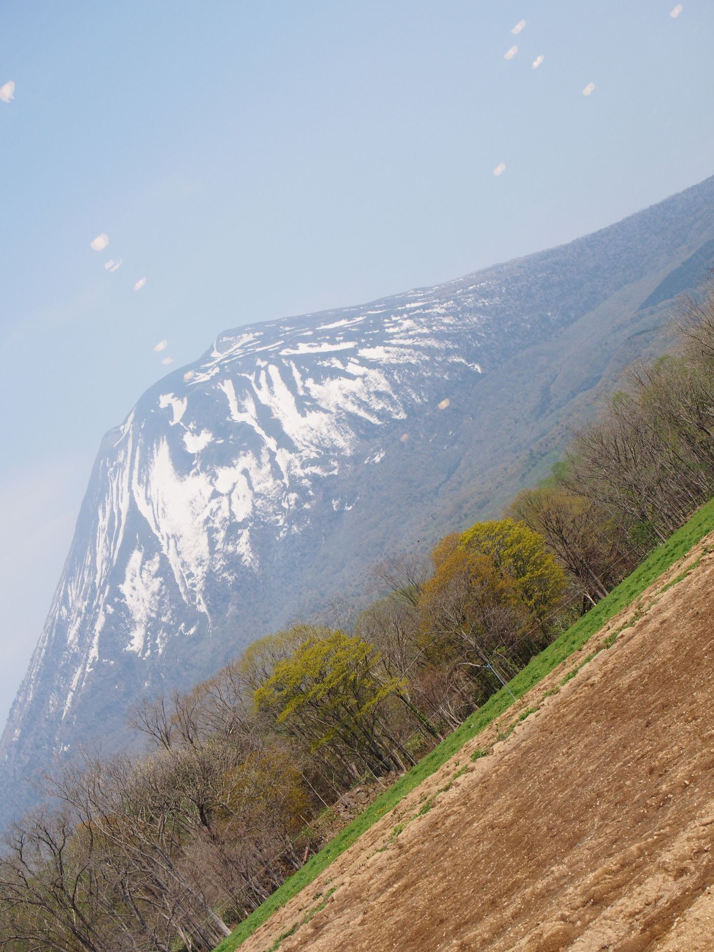 の画像