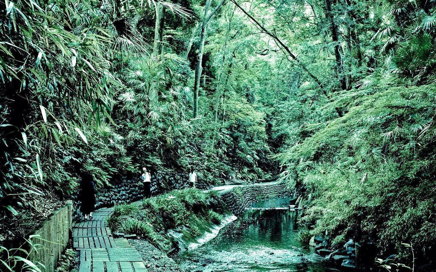 の画像
