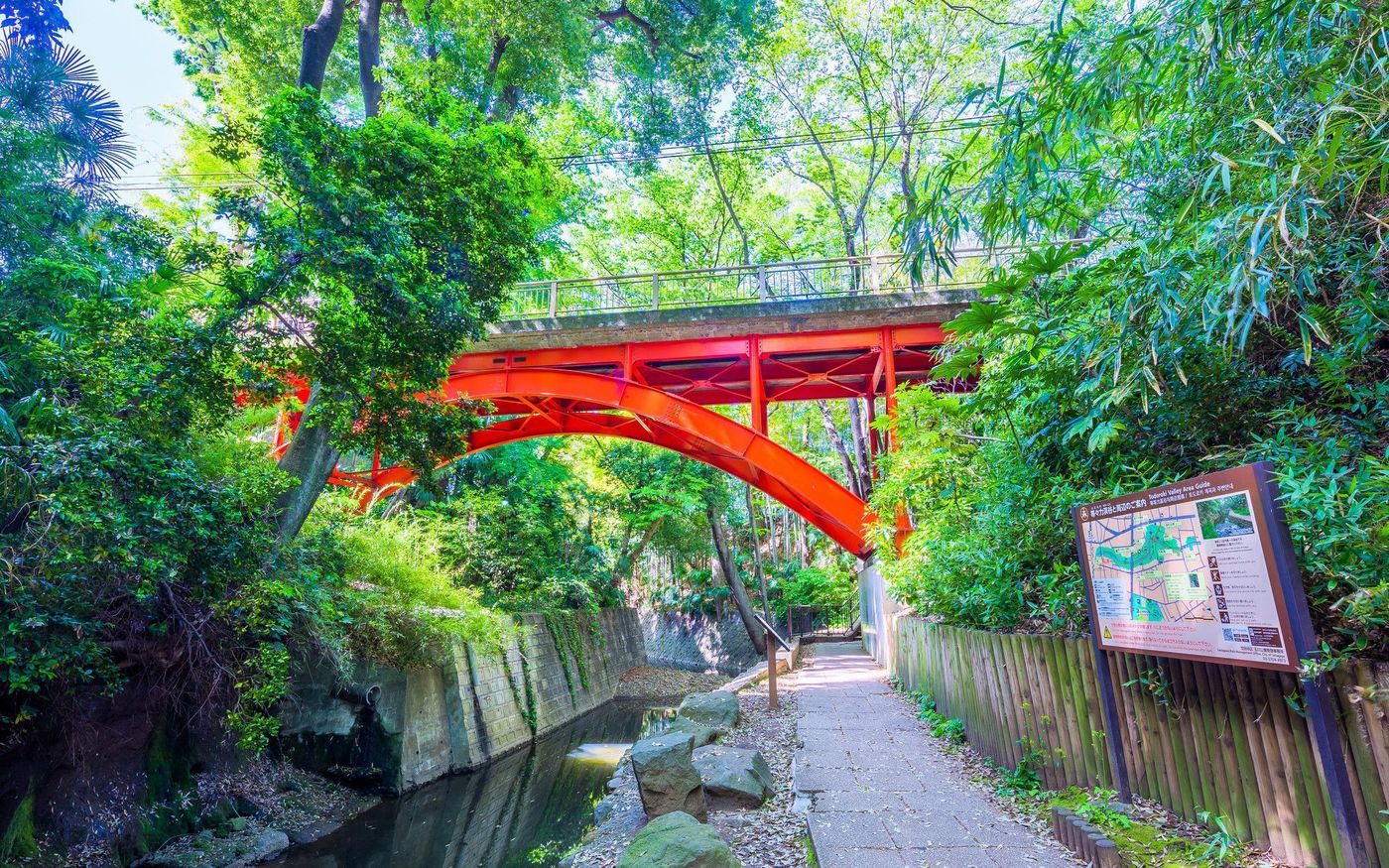 の画像