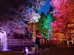【神戸】人混みを避けてゆっくりと。紅葉を楽しめる公園♪
