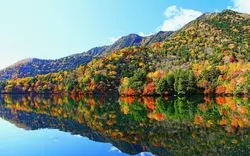 【絶景】栃木県のおすすめ観光スポット5選！王道から穴場まで◎